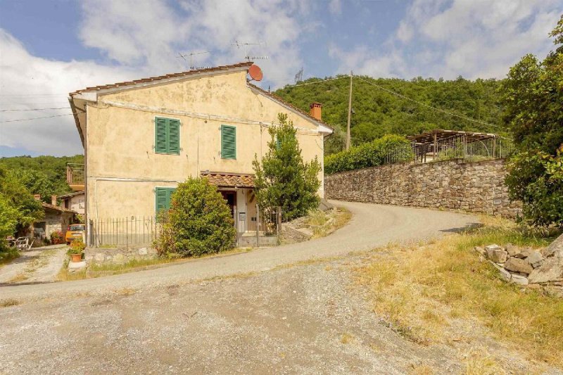 Крыша/земля в Ваяно