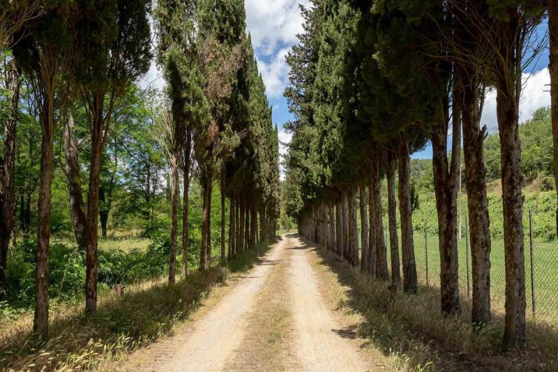 Borgo a Gaiole in Chianti