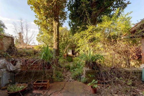 Cielo/Terra a Firenze