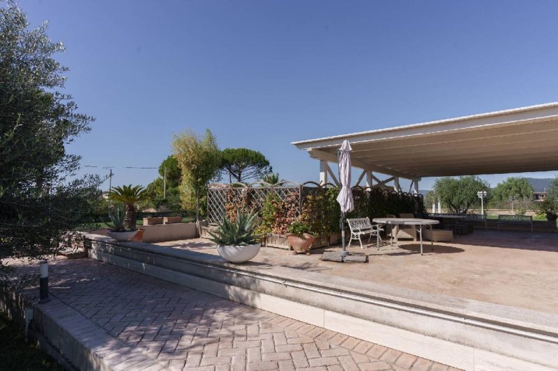 Local commercial à Cerveteri