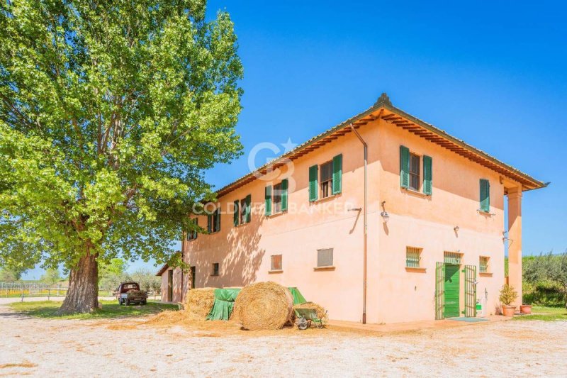 Maison de campagne à Montefalco