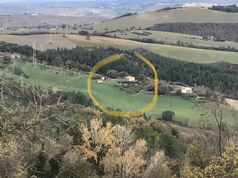 洛罗皮切诺乡间房屋