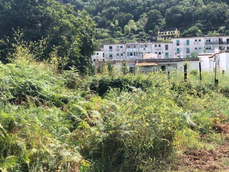 Terrain à Ischia