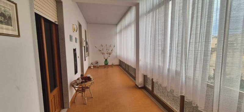 Крыша/земля в Пачеко