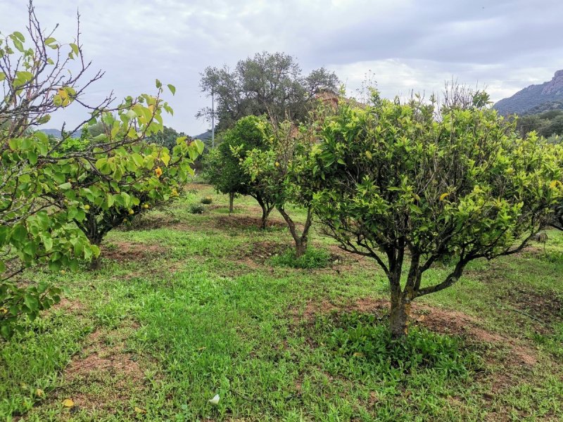 Byggtomt i Loiri Porto San Paolo