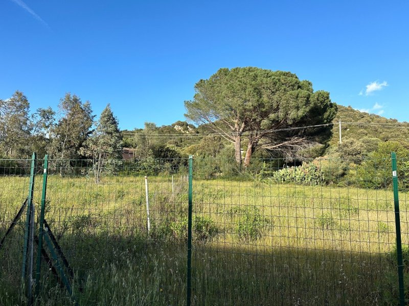 Bauland in Loiri Porto San Paolo