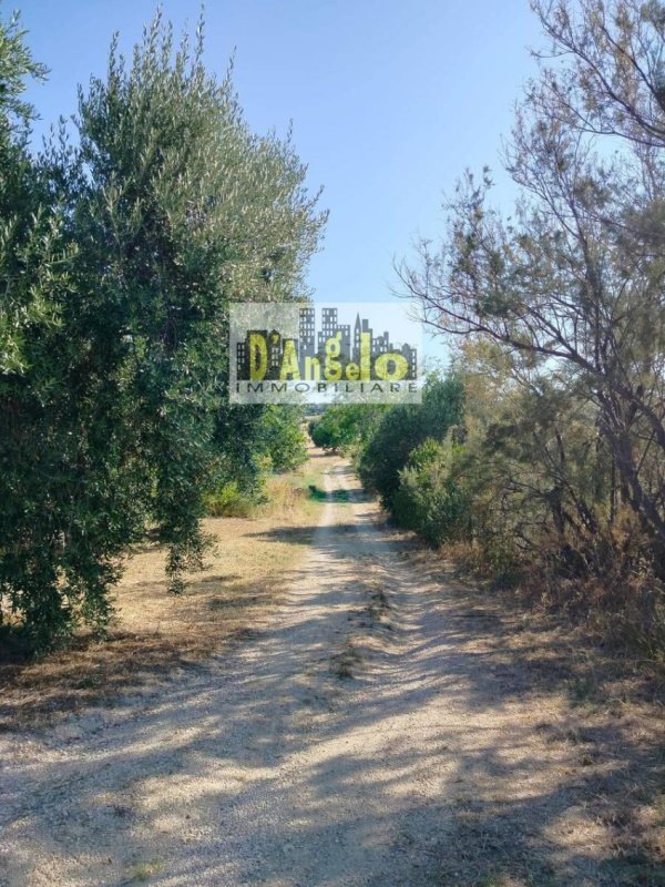 Hus på landet i Offida