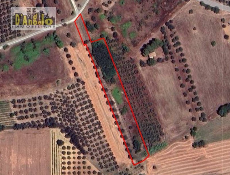 Lantgård i Corropoli