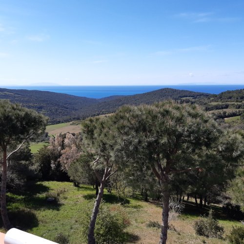 Apartamento en Rosignano Marittimo