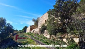 莫迪卡乡间房屋