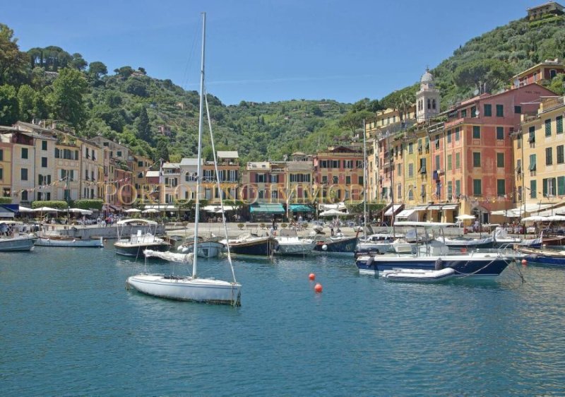 菲諾港独立公寓