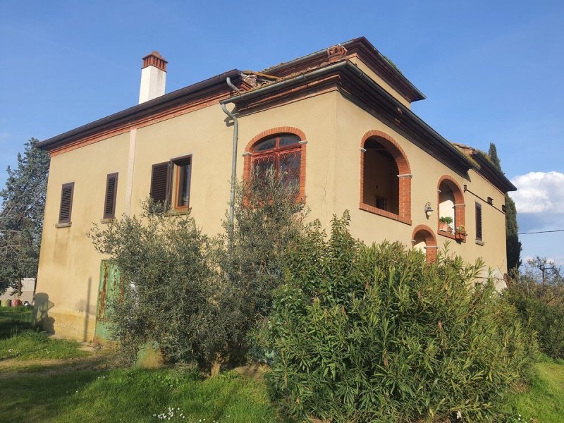 马尔恰诺-代拉基亚纳农业公司