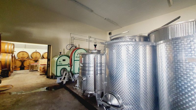 Landwirtschaftlicher Betrieb in Arezzo