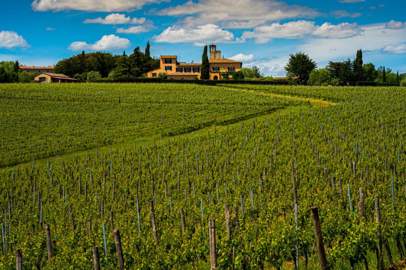 Ферма в Кастельнуово-Берарденга