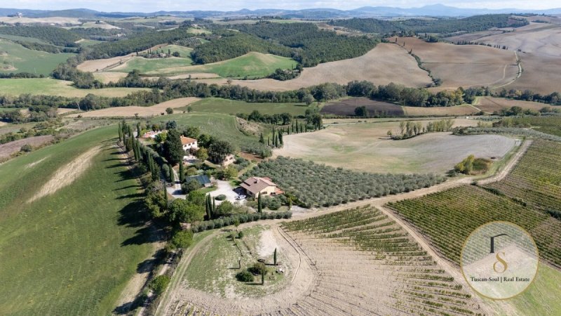 Ферма в Монтичано