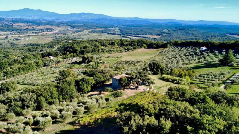 Villa in Roccastrada