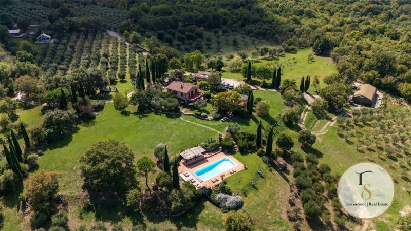 Explotación agrícola en Scansano