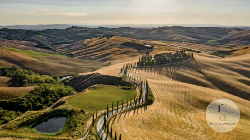 Bouwgrond in Asciano