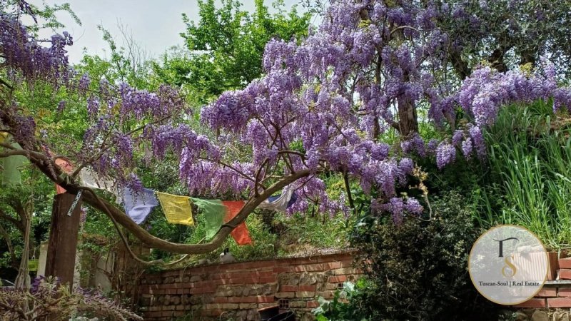 Villa in Città della Pieve