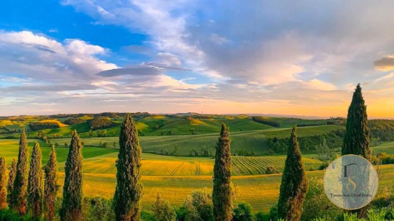 Villa in Siena