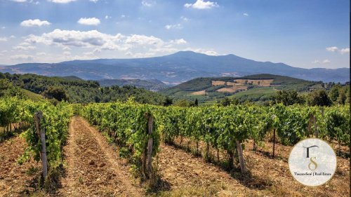 Farm in Montalcino