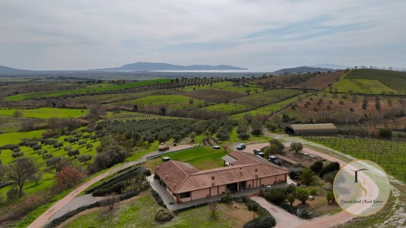 Boerenbedrijf in Orbetello