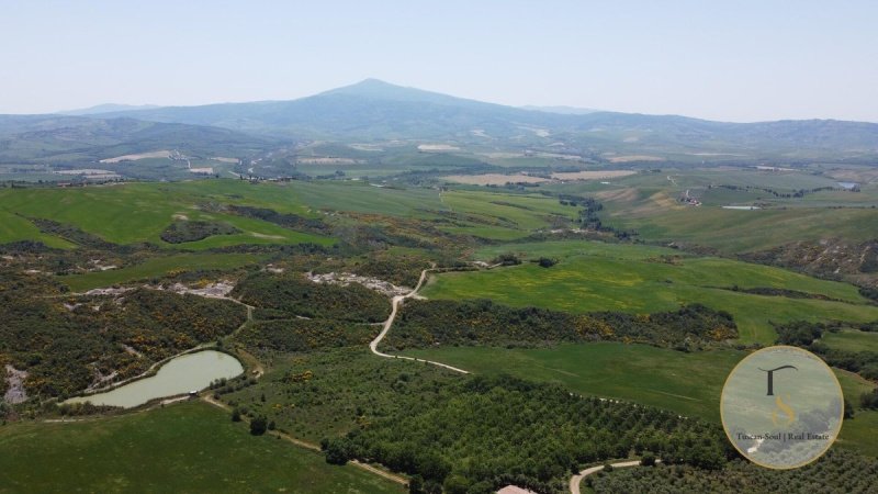 Boerenbedrijf in Pienza