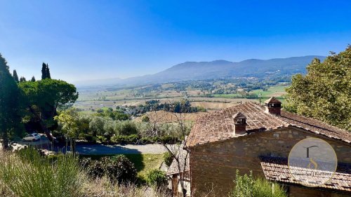 Ферма в Четона