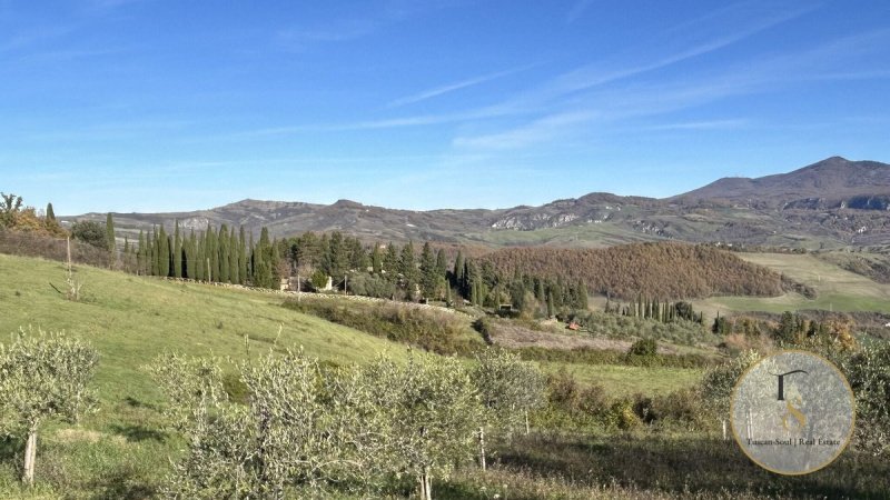 Boerenbedrijf in San Casciano dei Bagni