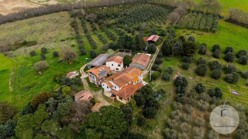 Boerenbedrijf in Cinigiano