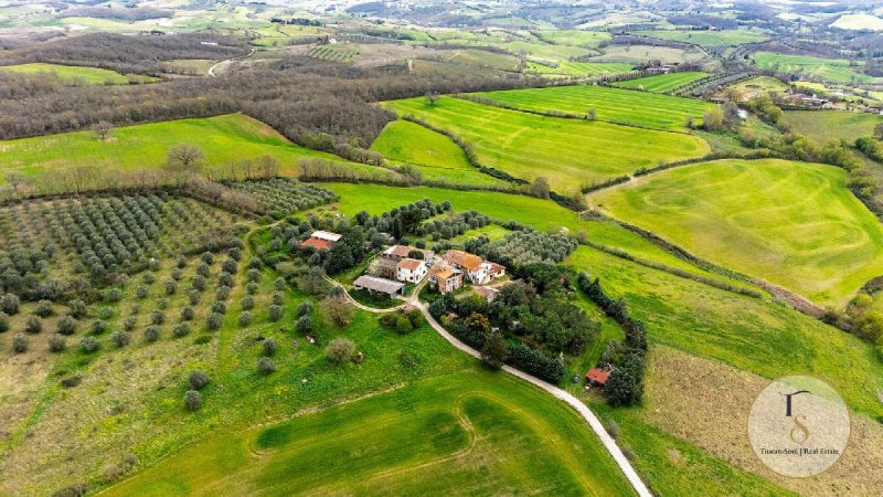 Boerenbedrijf in Cinigiano