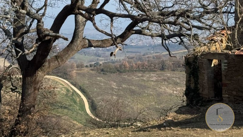 Boerenbedrijf in Montepulciano