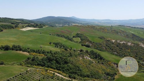 Explotación agrícola en Pienza
