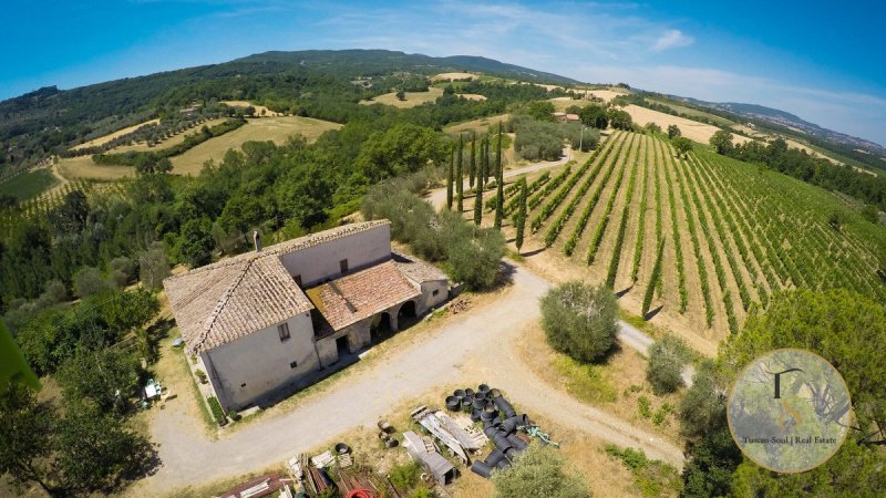 Boerenbedrijf in Sarteano