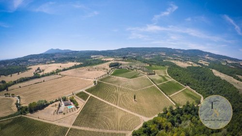 Boerenbedrijf in Sarteano