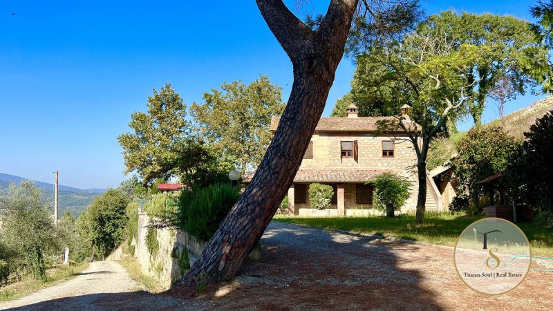 Boerenbedrijf in Cetona