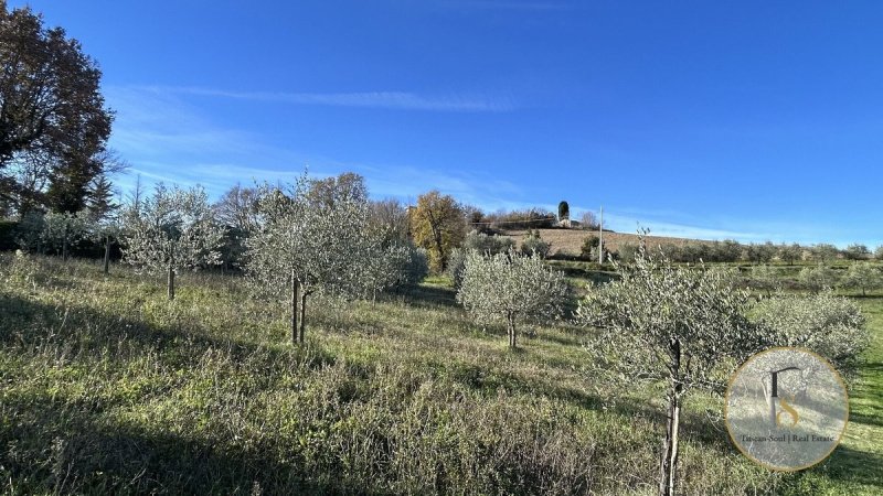 Boerenbedrijf in San Casciano dei Bagni