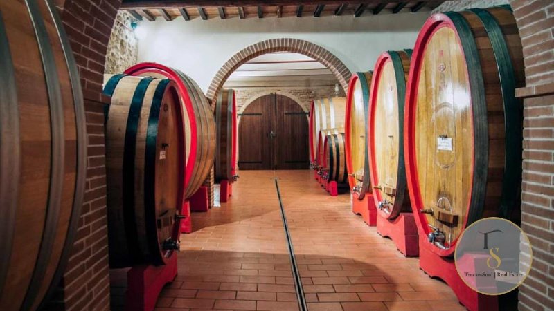 Azienda agricola a Montepulciano