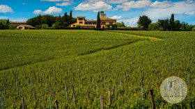 Azienda agricola a Castelnuovo Berardenga