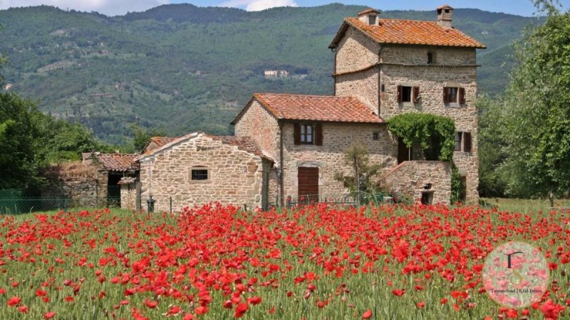 Villa in Cortona