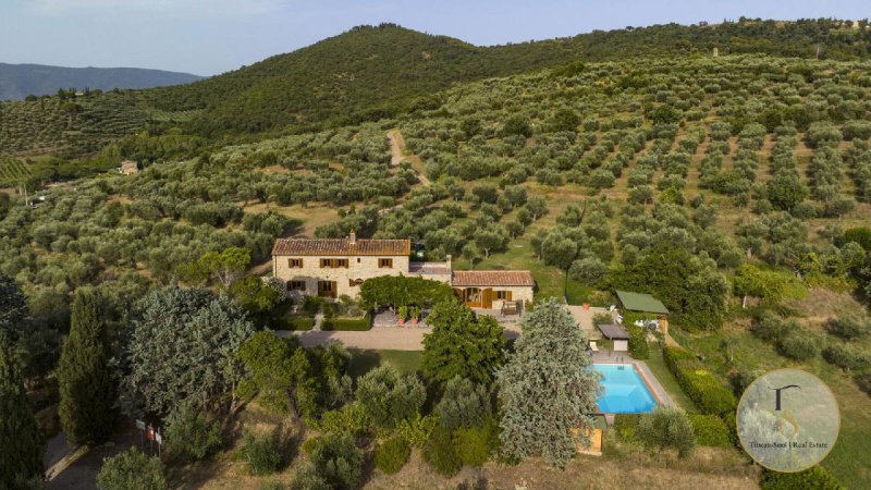 Villa in Cortona