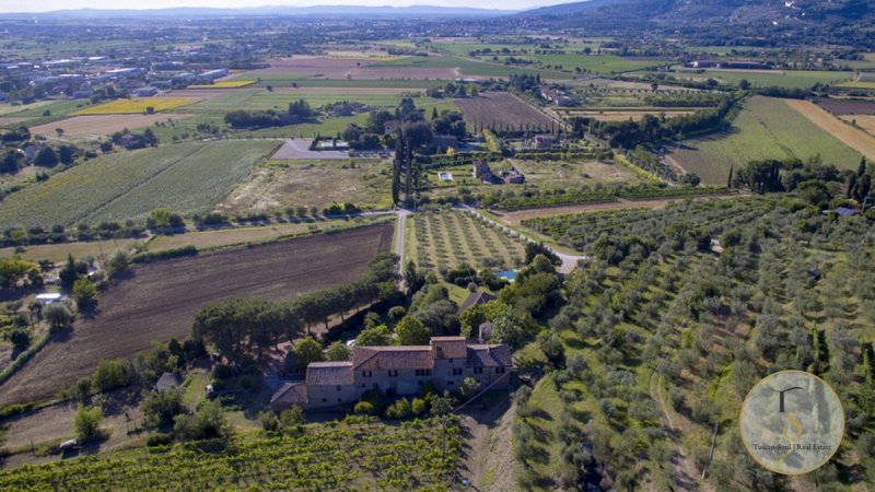 Villa in Cortona