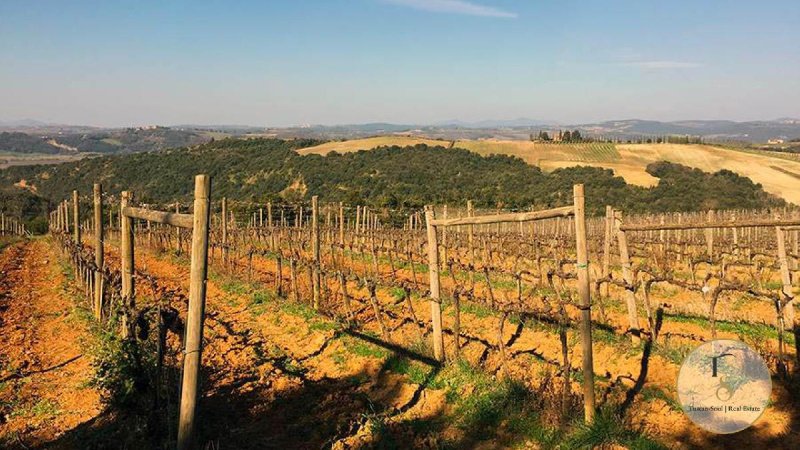 Farm in Montalcino