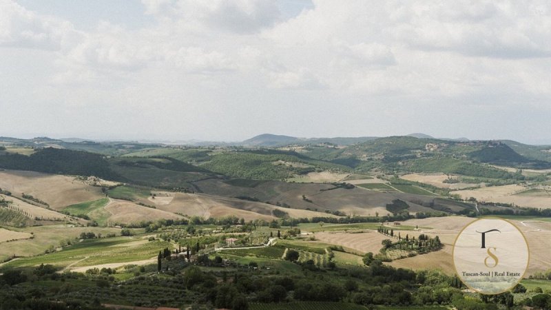 Gård i Montepulciano