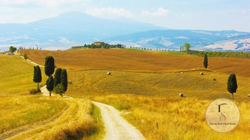 Bouwgrond in Pienza