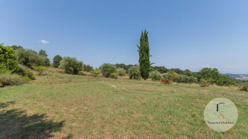 Bouwgrond in Pienza