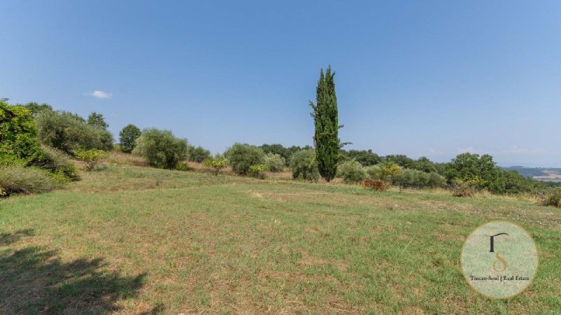 Bouwgrond in Pienza