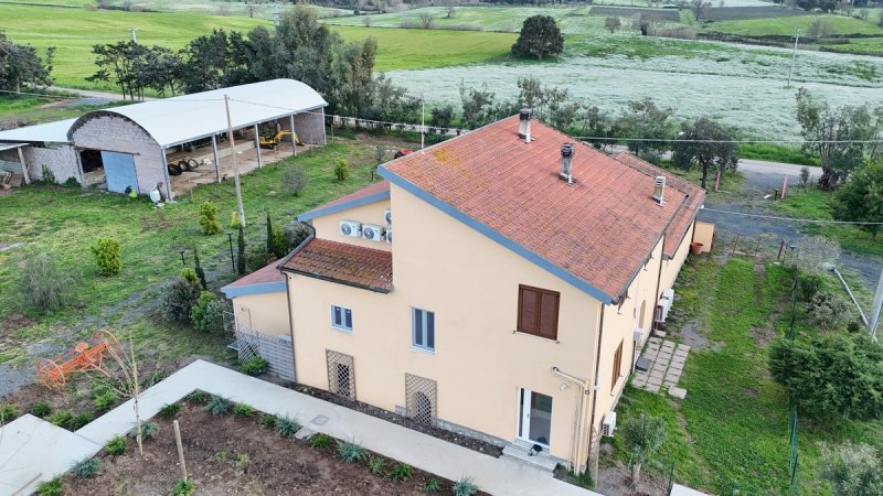 Farm in Grosseto