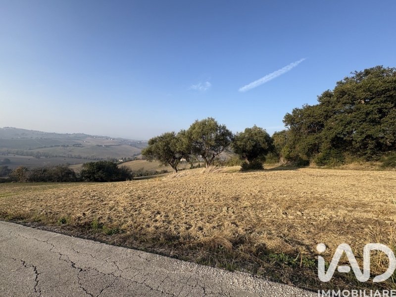 Terreno agricolo a Montecosaro