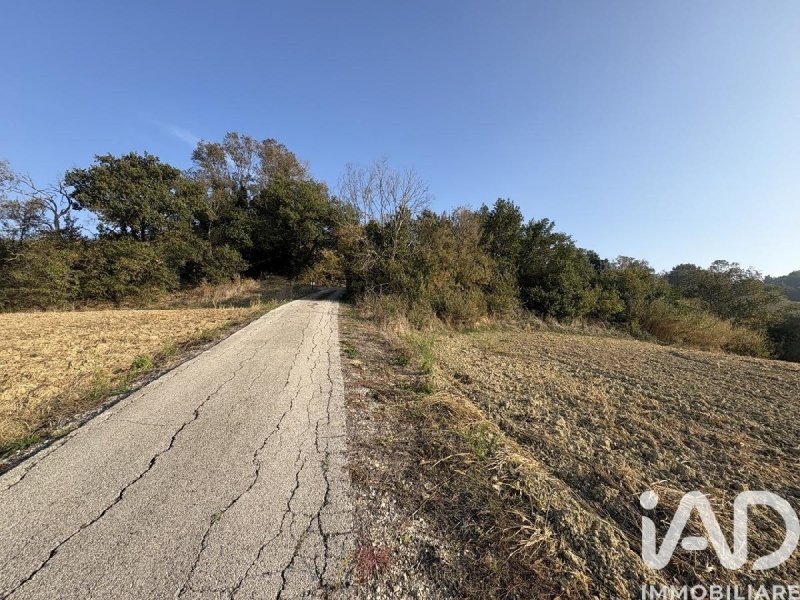 Terreno agricolo a Montecosaro